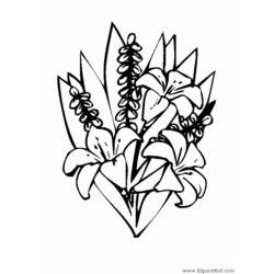 ぬりえページ: 花束 (自然) #160891 - 無料の印刷可能なぬりえページ