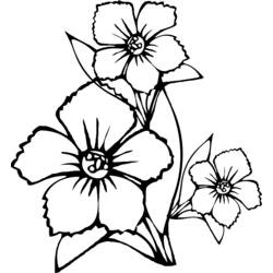 ぬりえページ: 花束 (自然) #161003 - 無料の印刷可能なぬりえページ
