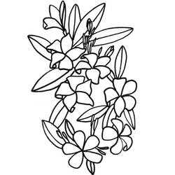 ぬりえページ: 花束 (自然) #161015 - 無料の印刷可能なぬりえページ
