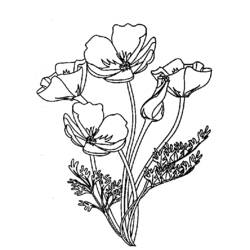 ぬりえページ: 花束 (自然) #161045 - 無料の印刷可能なぬりえページ