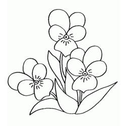 ぬりえページ: 花束 (自然) #161093 - 無料の印刷可能なぬりえページ