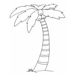 ぬりえページ: 椰子の木 (自然) #162115 - 無料の印刷可能なぬりえページ