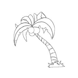 ぬりえページ: 椰子の木 (自然) #162116 - 無料の印刷可能なぬりえページ