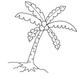 ぬりえページ: 椰子の木 (自然) #162366 - 無料の印刷可能なぬりえページ
