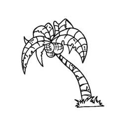 ぬりえページ: 椰子の木 (自然) #162375 - 無料の印刷可能なぬりえページ