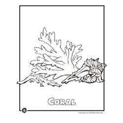 ぬりえページ: コーラル (自然) #162945 - 無料の印刷可能なぬりえページ