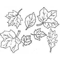 ぬりえページ: 秋のシーズン (自然) #164059 - 無料の印刷可能なぬりえページ