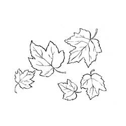 ぬりえページ: 秋のシーズン (自然) #164081 - 無料の印刷可能なぬりえページ