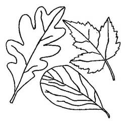 ぬりえページ: 秋のシーズン (自然) #164295 - 無料の印刷可能なぬりえページ