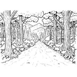 ぬりえページ: 森 (自然) #157003 - 無料の印刷可能なぬりえページ
