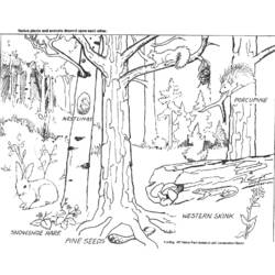 ぬりえページ: 森 (自然) #157021 - 無料の印刷可能なぬりえページ