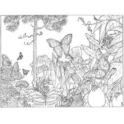 ぬりえページ: 森 (自然) #157026 - 無料の印刷可能なぬりえページ