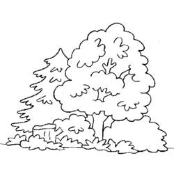 ぬりえページ: 森 (自然) #157044 - 無料の印刷可能なぬりえページ