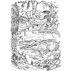 ぬりえページ: 森 (自然) #157236 - 無料の印刷可能なぬりえページ