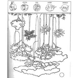 ぬりえページ: 森 (自然) #157251 - 無料の印刷可能なぬりえページ
