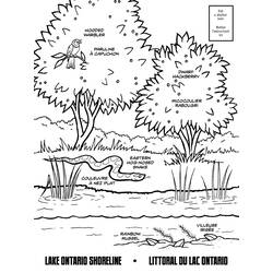ぬりえページ: 湖 (自然) #166147 - 無料の印刷可能なぬりえページ