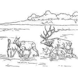 ぬりえページ: 湖 (自然) #166158 - 無料の印刷可能なぬりえページ