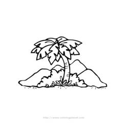 ぬりえページ: パーム (自然) #161169 - 無料の印刷可能なぬりえページ