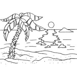 ぬりえページ: パーム (自然) #161210 - 無料の印刷可能なぬりえページ