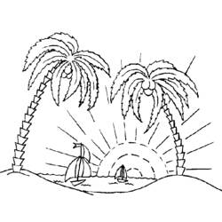 ぬりえページ: パーム (自然) #161284 - 無料の印刷可能なぬりえページ