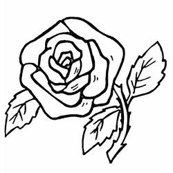 ぬりえページ: バラ (自然) #161870 - 無料の印刷可能なぬりえページ