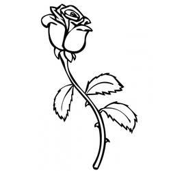 ぬりえページ: バラ (自然) #161873 - 無料の印刷可能なぬりえページ