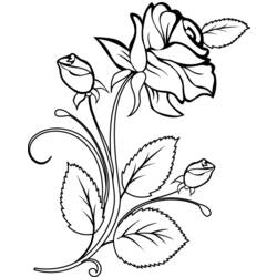 ぬりえページ: バラ (自然) #161874 - 無料の印刷可能なぬりえページ