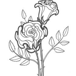 ぬりえページ: バラ (自然) #161879 - 無料の印刷可能なぬりえページ