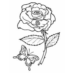 ぬりえページ: バラ (自然) #161885 - 無料の印刷可能なぬりえページ