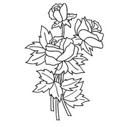 ぬりえページ: バラ (自然) #161895 - 無料の印刷可能なぬりえページ