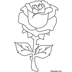 ぬりえページ: バラ (自然) #161897 - 無料の印刷可能なぬりえページ