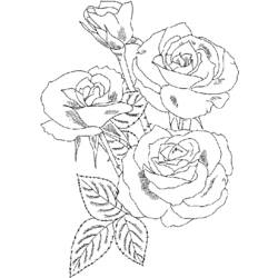 ぬりえページ: バラ (自然) #161910 - 無料の印刷可能なぬりえページ