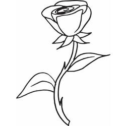 ぬりえページ: バラ (自然) #161916 - 無料の印刷可能なぬりえページ