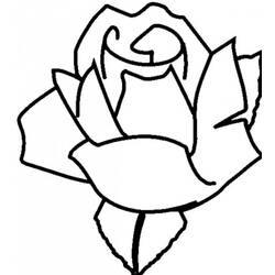 ぬりえページ: バラ (自然) #161927 - 無料の印刷可能なぬりえページ