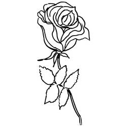ぬりえページ: バラ (自然) #161935 - 無料の印刷可能なぬりえページ