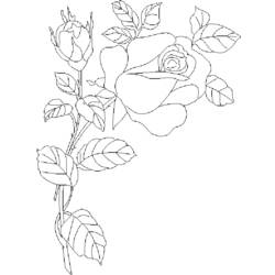 ぬりえページ: バラ (自然) #161949 - 無料の印刷可能なぬりえページ