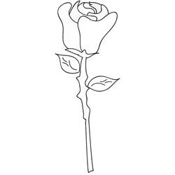 ぬりえページ: バラ (自然) #161950 - 無料の印刷可能なぬりえページ