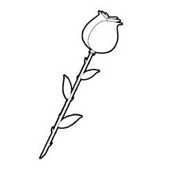 ぬりえページ: バラ (自然) #161951 - 無料の印刷可能なぬりえページ