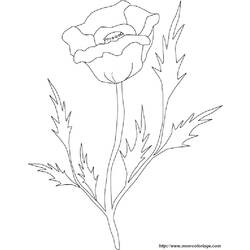 ぬりえページ: バラ (自然) #161975 - 無料の印刷可能なぬりえページ