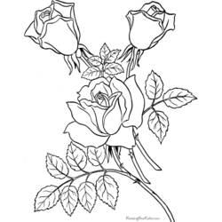 ぬりえページ: バラ (自然) #161984 - 無料の印刷可能なぬりえページ