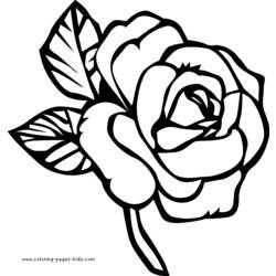 ぬりえページ: バラ (自然) #162017 - 無料の印刷可能なぬりえページ