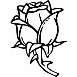 ぬりえページ: バラ (自然) #162032 - 無料の印刷可能なぬりえページ