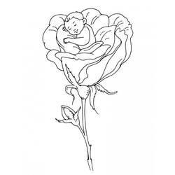 ぬりえページ: バラ (自然) #162037 - 無料の印刷可能なぬりえページ