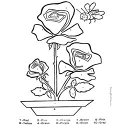 ぬりえページ: バラ (自然) #162043 - 無料の印刷可能なぬりえページ