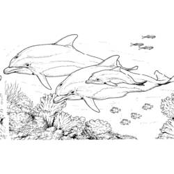 ぬりえページ: 海底 (自然) #160116 - 無料の印刷可能なぬりえページ