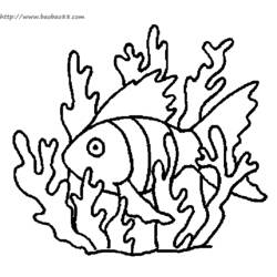 ぬりえページ: 海底 (自然) #160144 - 無料の印刷可能なぬりえページ
