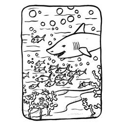 ぬりえページ: 海底 (自然) #160161 - 無料の印刷可能なぬりえページ