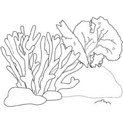 ぬりえページ: 海底 (自然) #160193 - 無料の印刷可能なぬりえページ