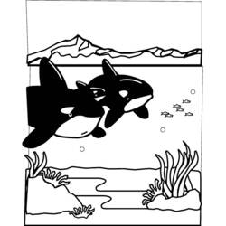 ぬりえページ: 海底 (自然) #160214 - 無料の印刷可能なぬりえページ