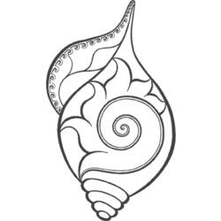 ぬりえページ: 貝 (自然) #163152 - 無料の印刷可能なぬりえページ